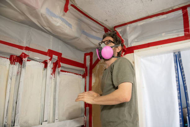 Asbestos and Lead Testing During Mold Inspection in Contoocook, NH